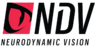 Neuro Dynamic Vision